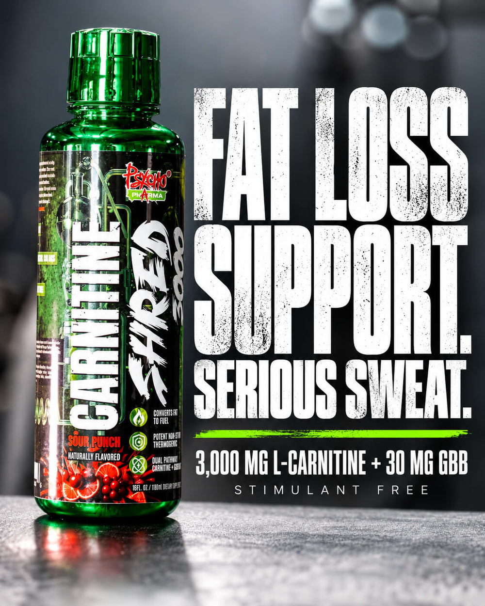 Carnitine SHRED 3000