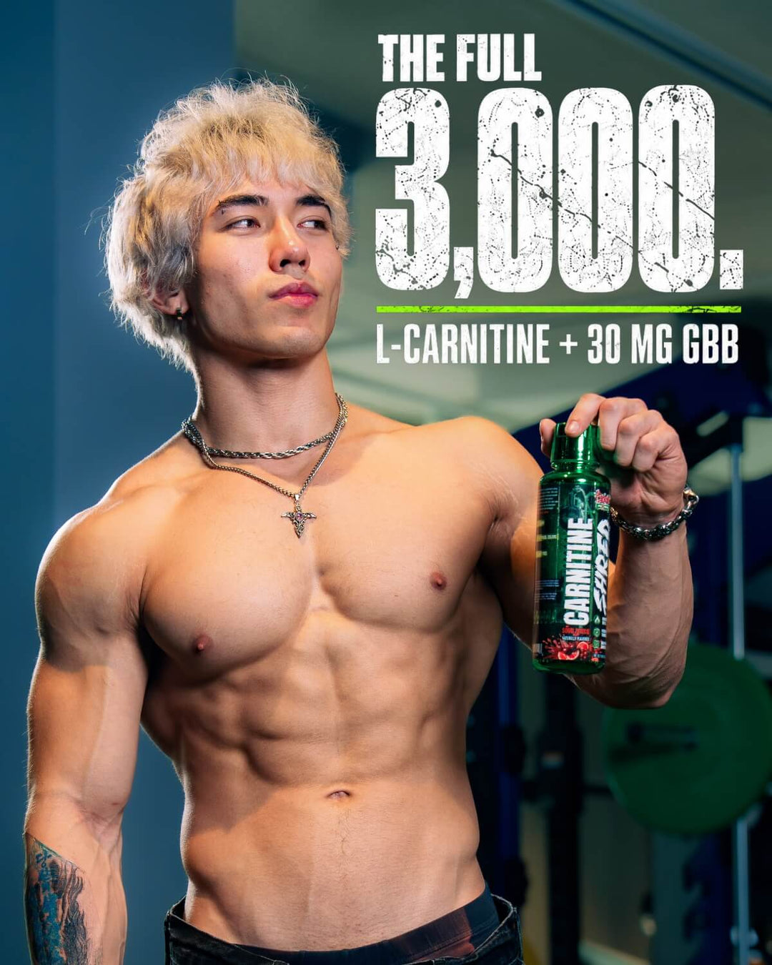 Carnitine SHRED 3000